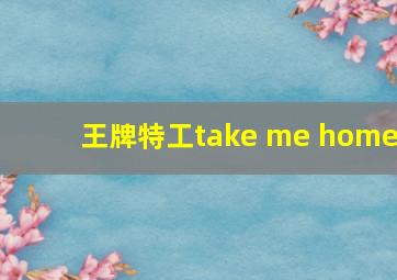 王牌特工take me home